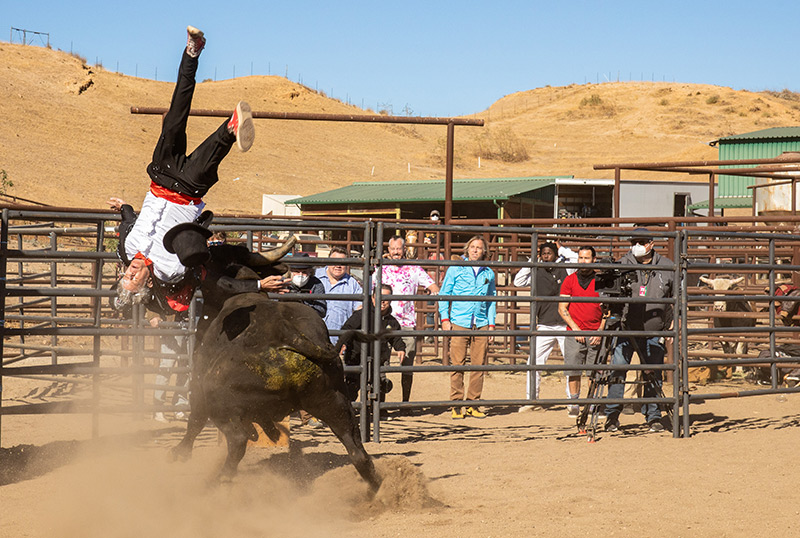 Paramount+で開発中のJackass Revivalシリーズ