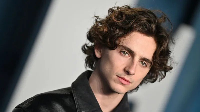 ヒート2：アル・パチーノは、ティモテ・シャラメットに続編で彼の役割を果たしたい