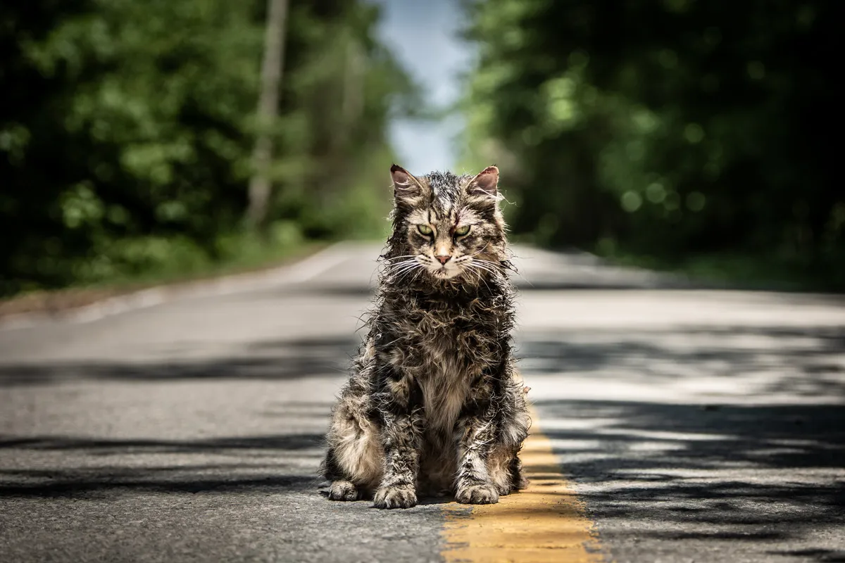 Pet Sematary (2019)